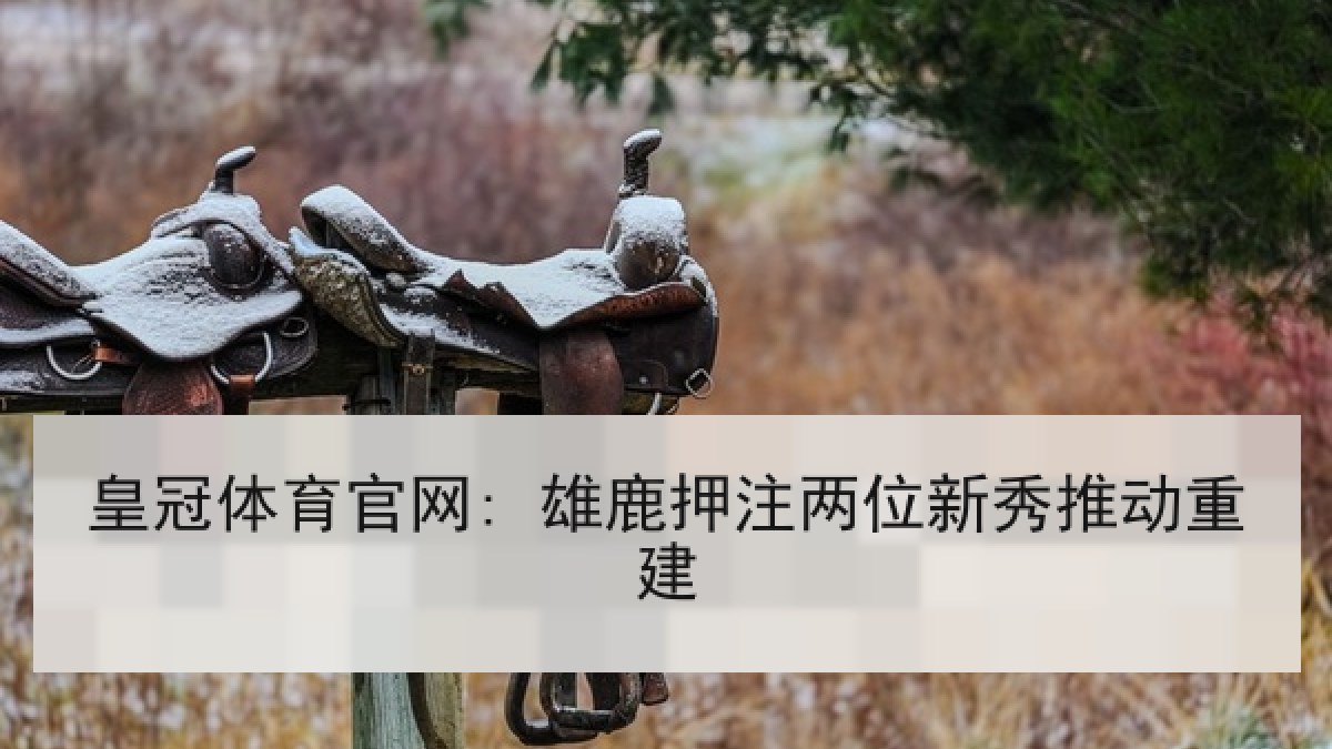 皇冠体育官网: 雄鹿押注两位新秀推动重建 皇冠体育官网: 雄鹿押注两位新秀推动重建